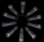 10pcs-black